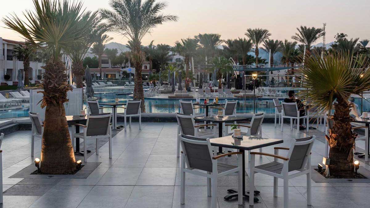 Jaz Sharm Dreams - taras