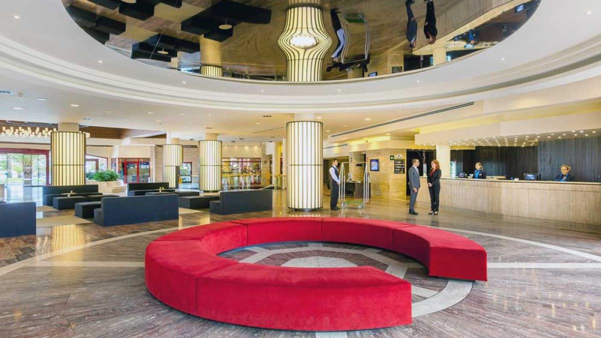 Best Jacaranda - hol