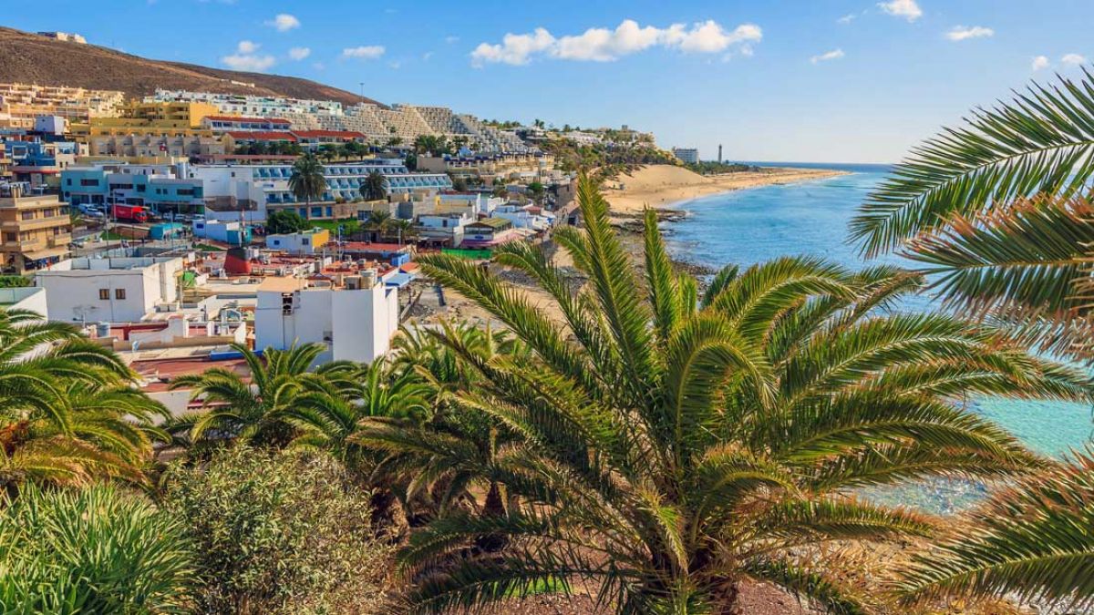 Occidental Jandia Playa - basen