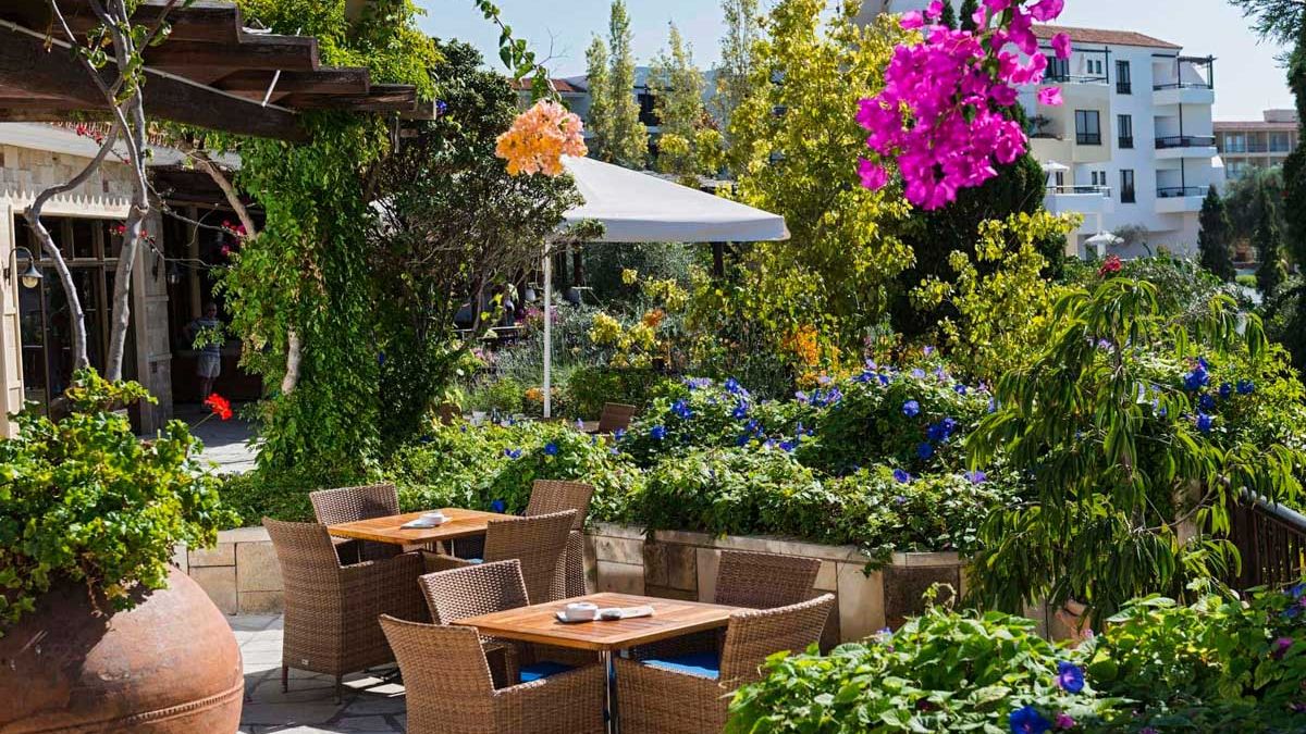 Coral Beach Hotel and Resort - taras