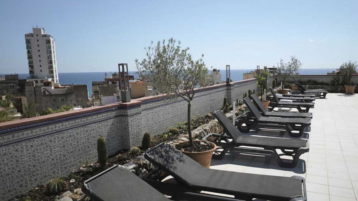 Alba Seleqtta - taras