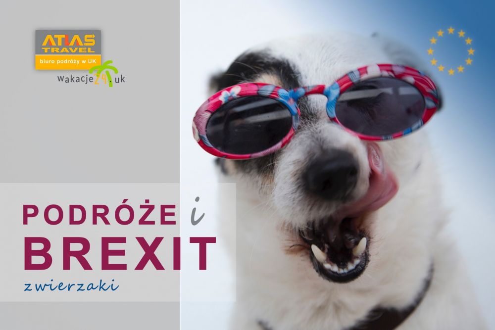 Brexit Podr&oacute;że Zwierzęta UK EU
