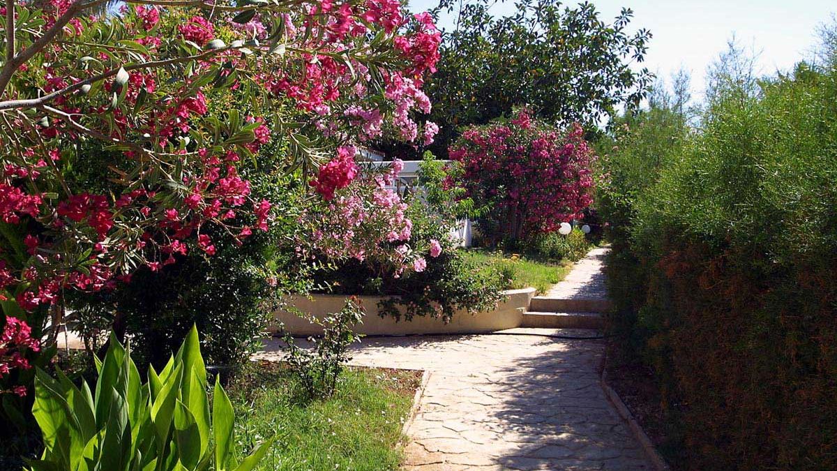 Kissos Hotel all-inclusive