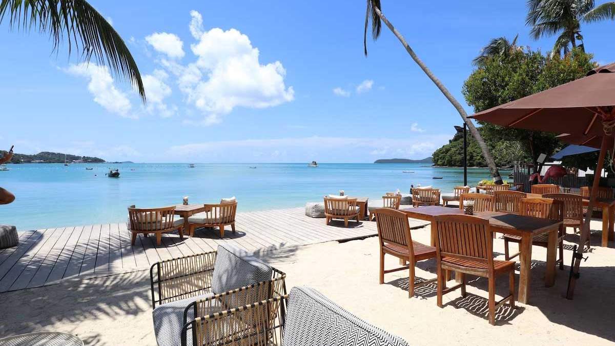 Bandara Phuket Beach Resort - bar