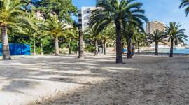 Occidental Cala Vinas