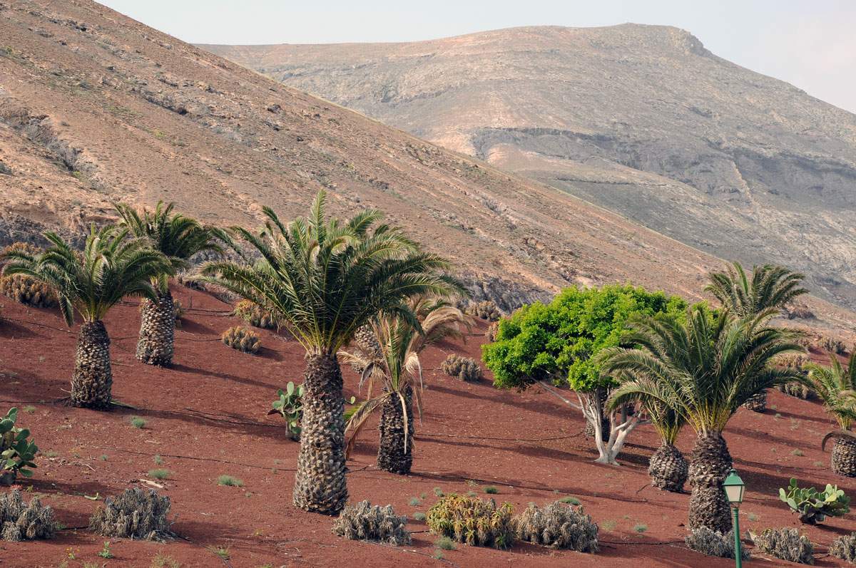 Wyspy Kanaryjskie Lanzarote