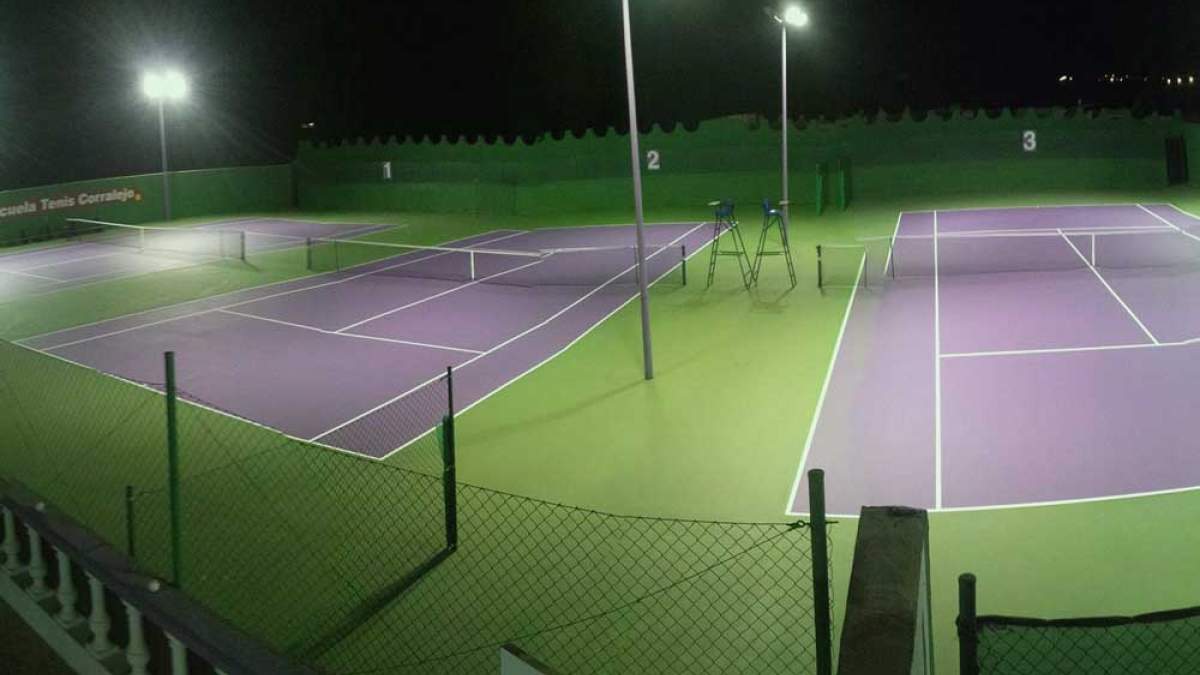 Arena Suite - atrakcje
